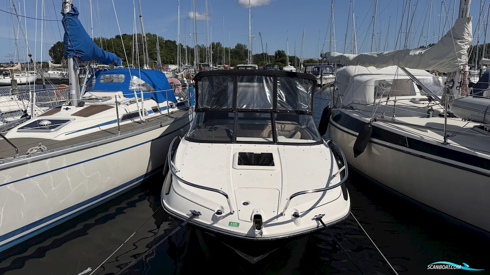 Bayliner VR5 Cuddy