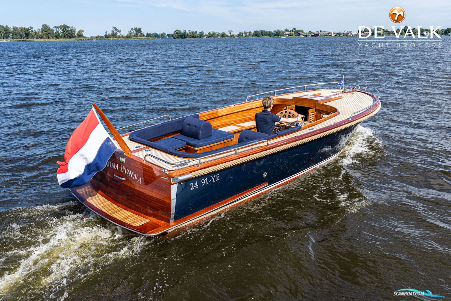 Beaver 28