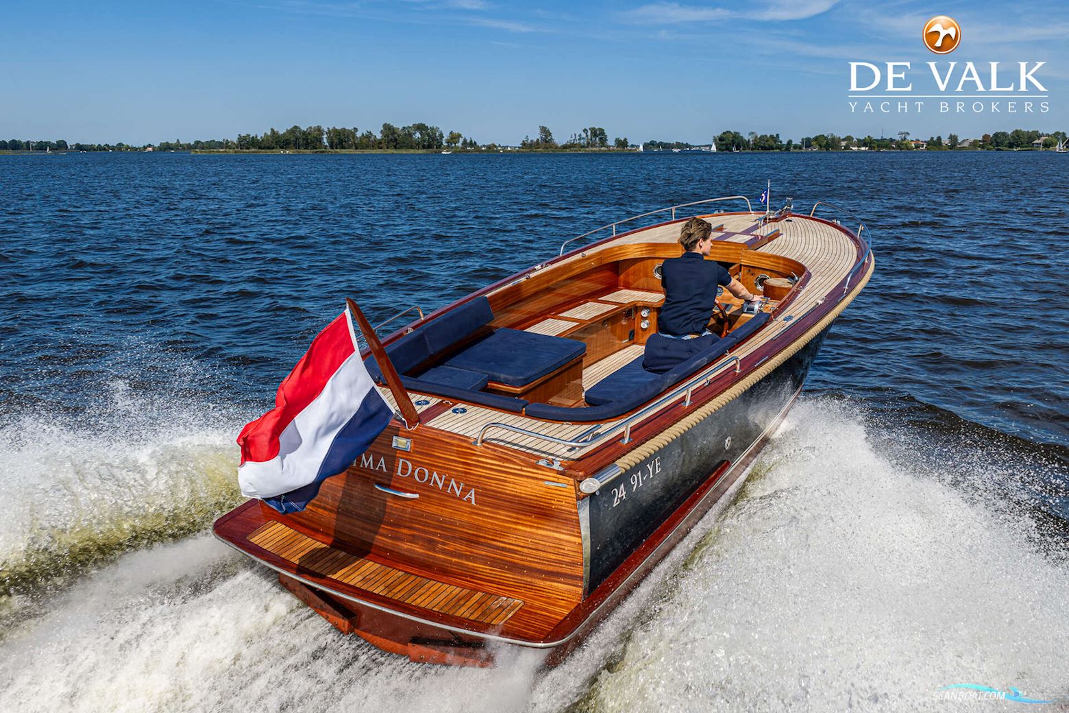 Beaver 28