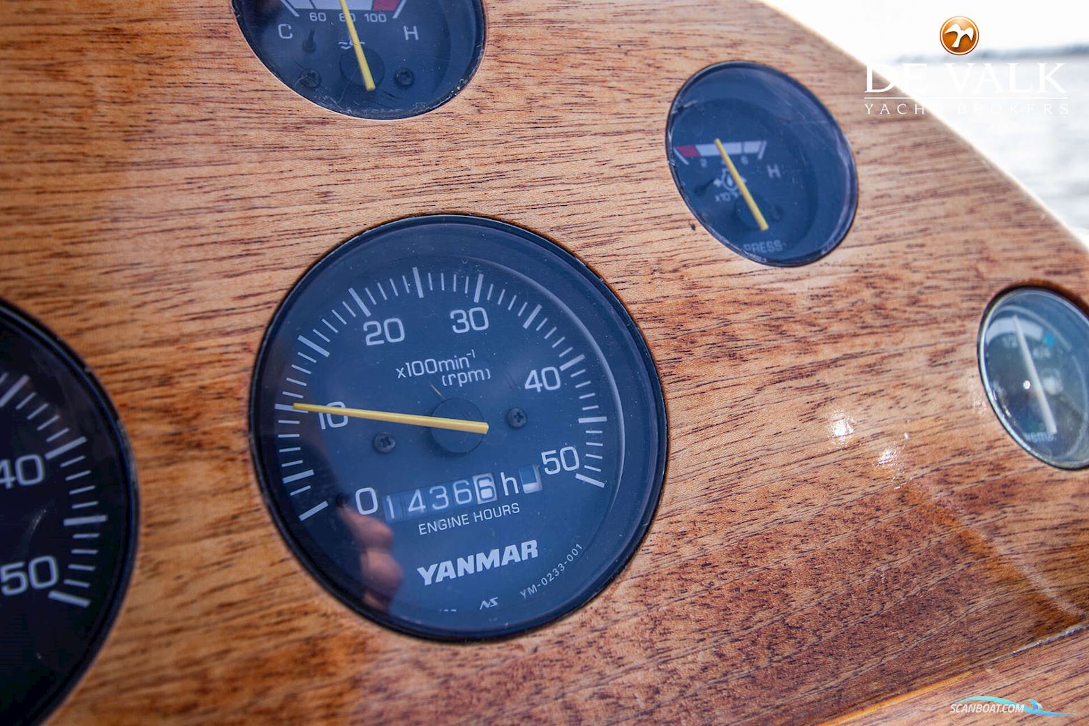 Beaver 28