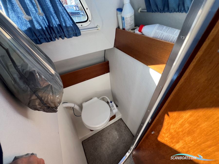 Bella 800 Delphin