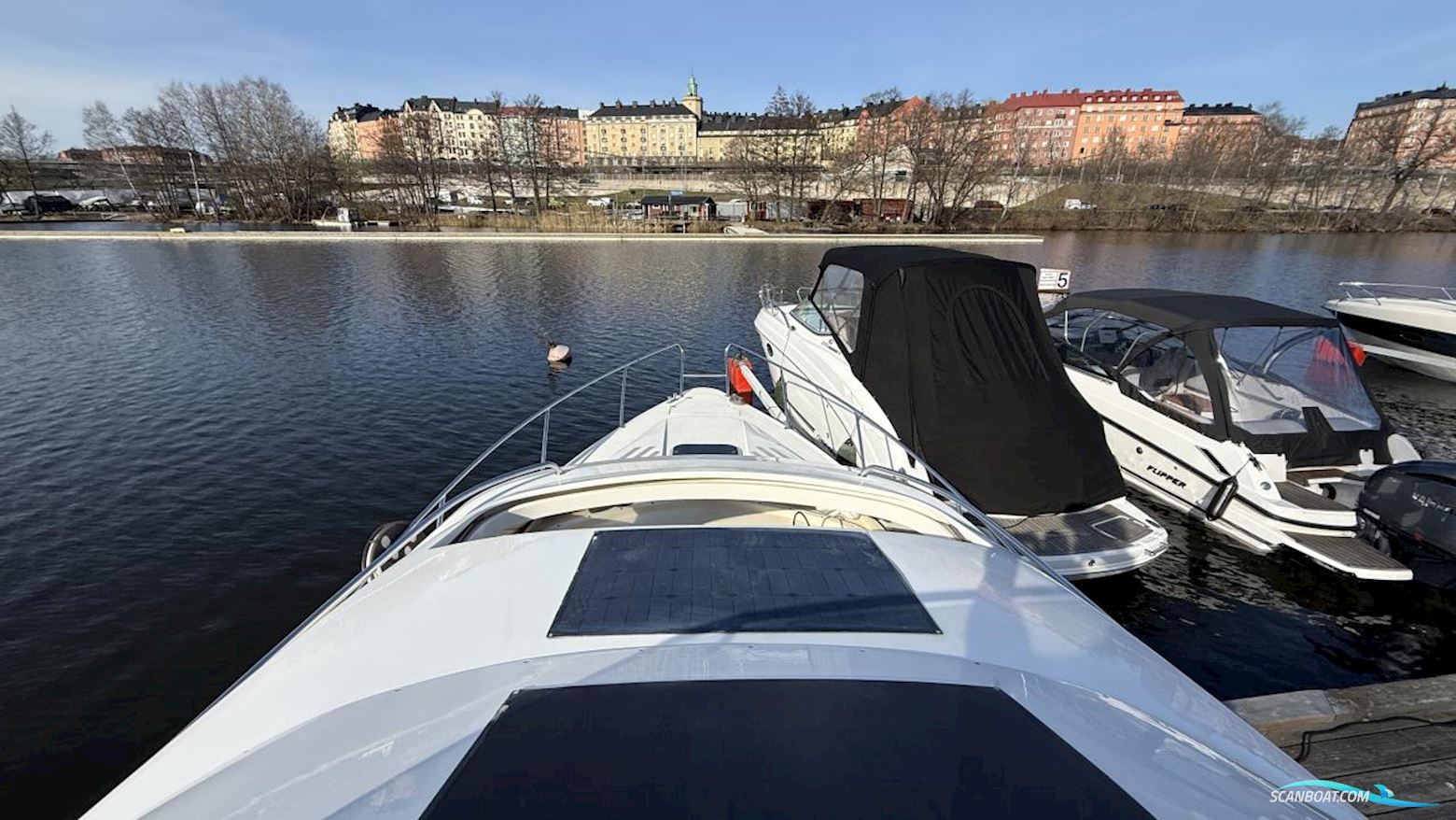 Bella Falcon Falcon 35