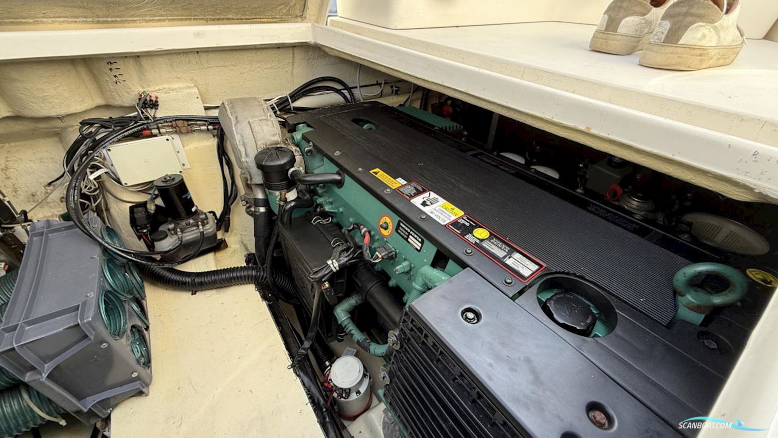 Bella Falcon Falcon 35