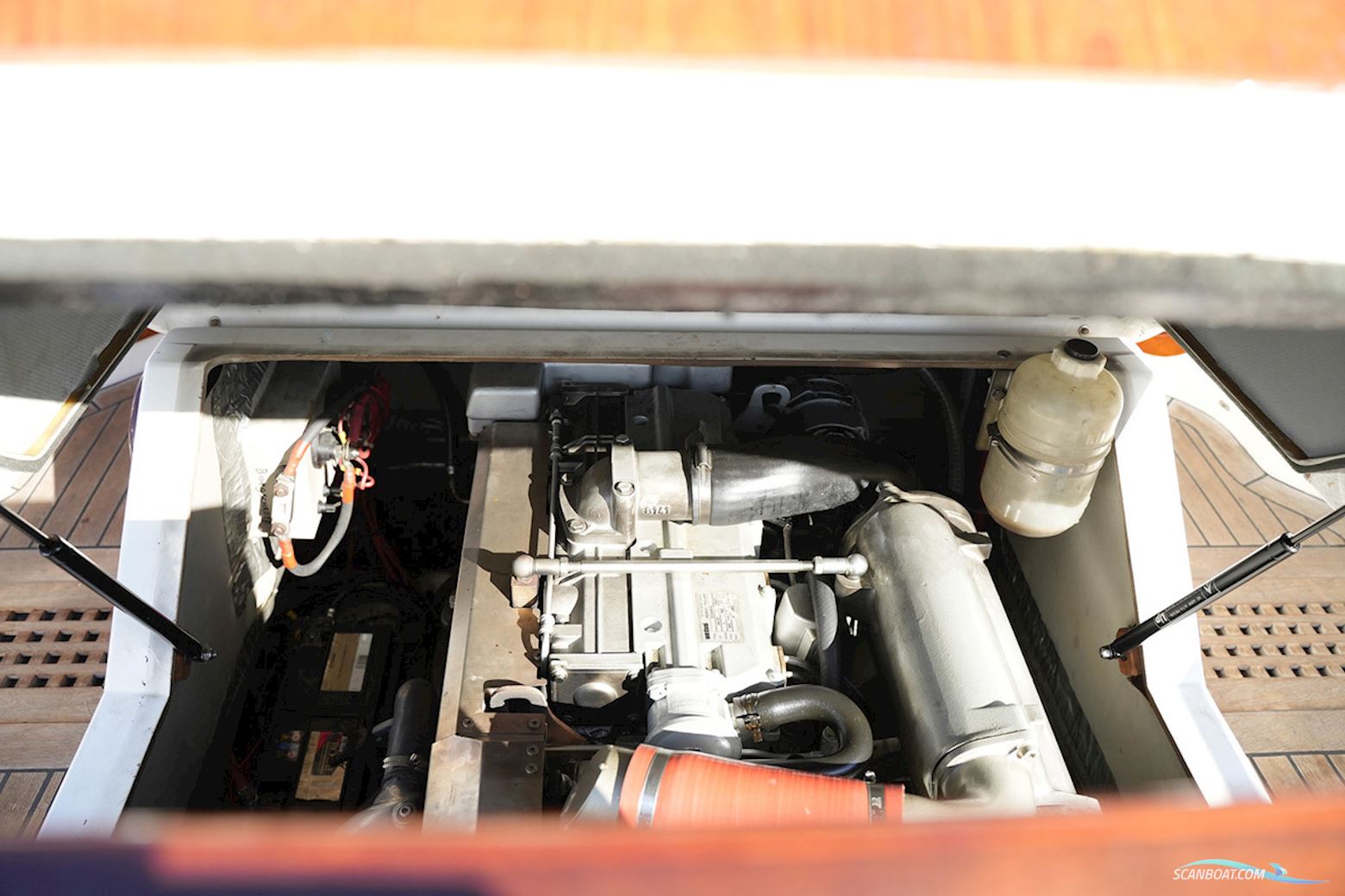 Bellus 750