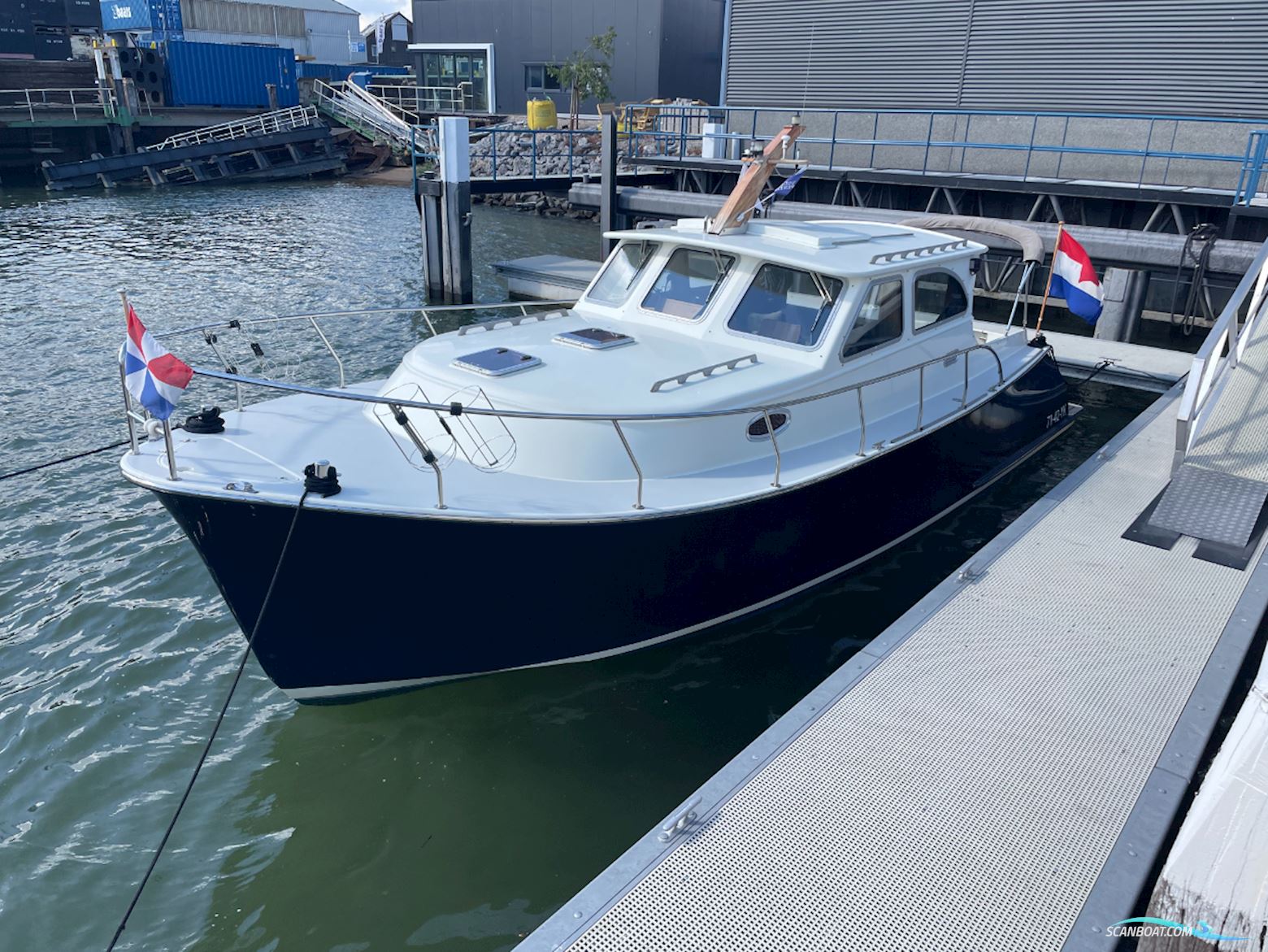 Beluga 30