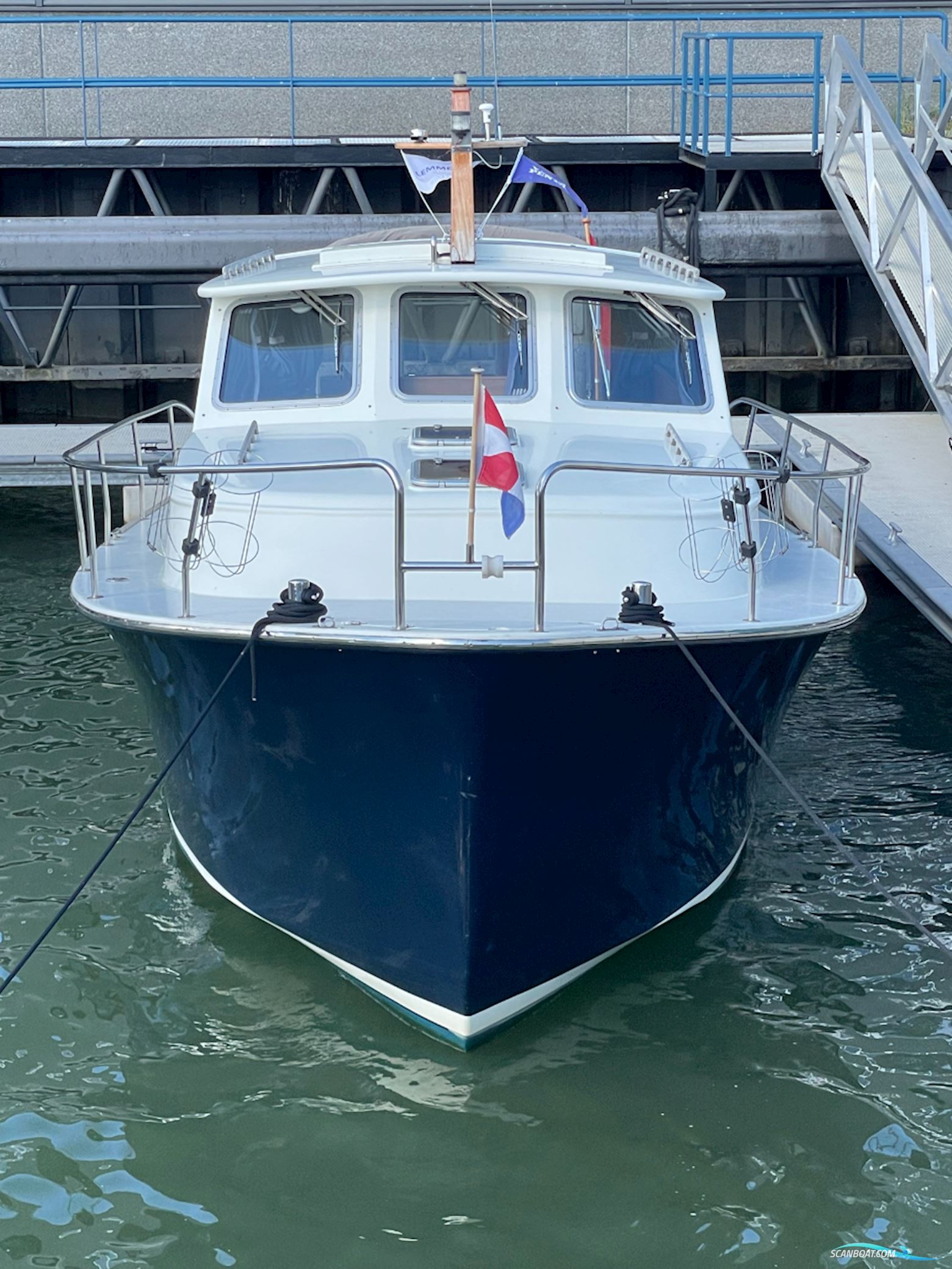 Beluga 30