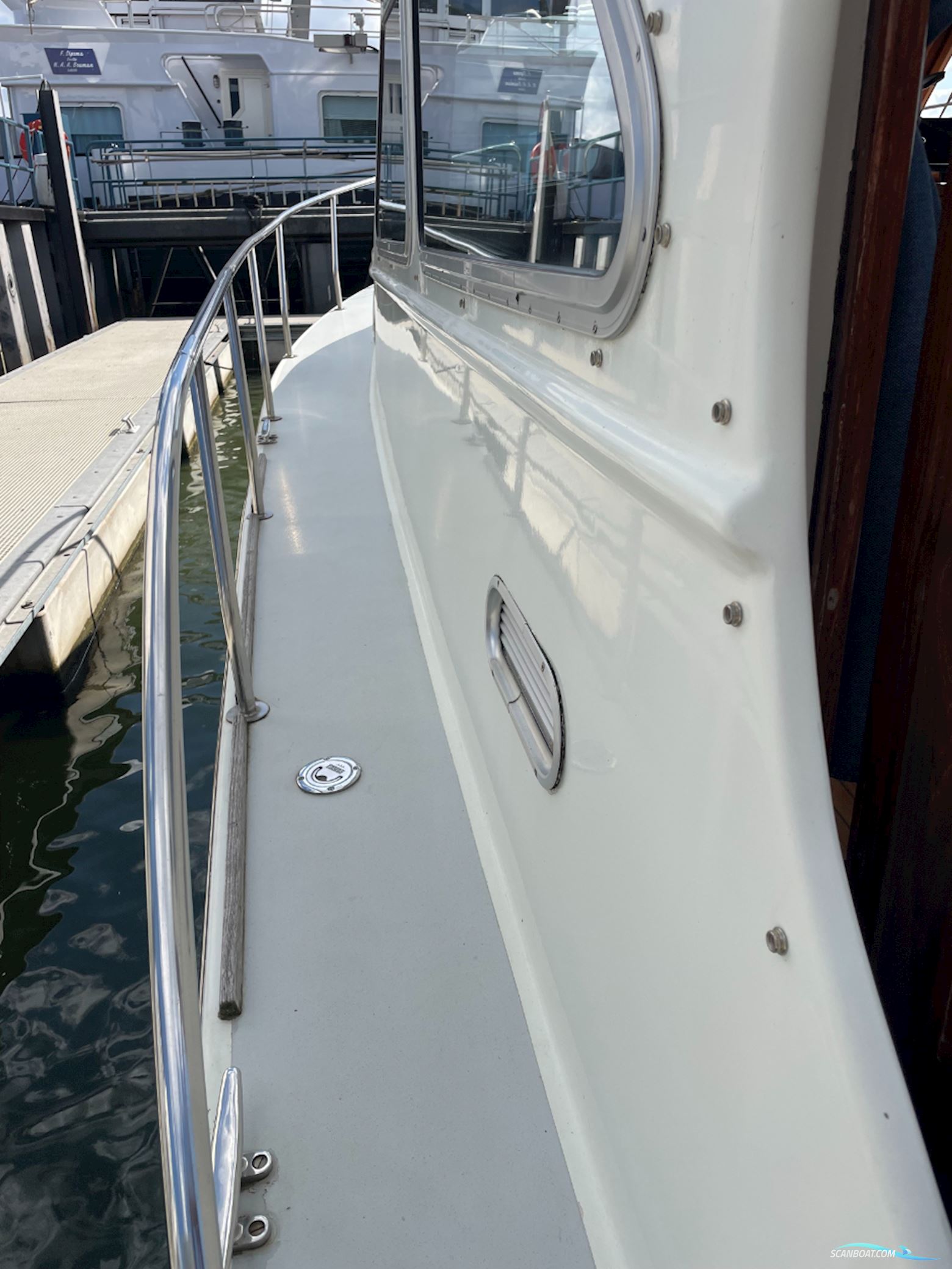 Beluga 30