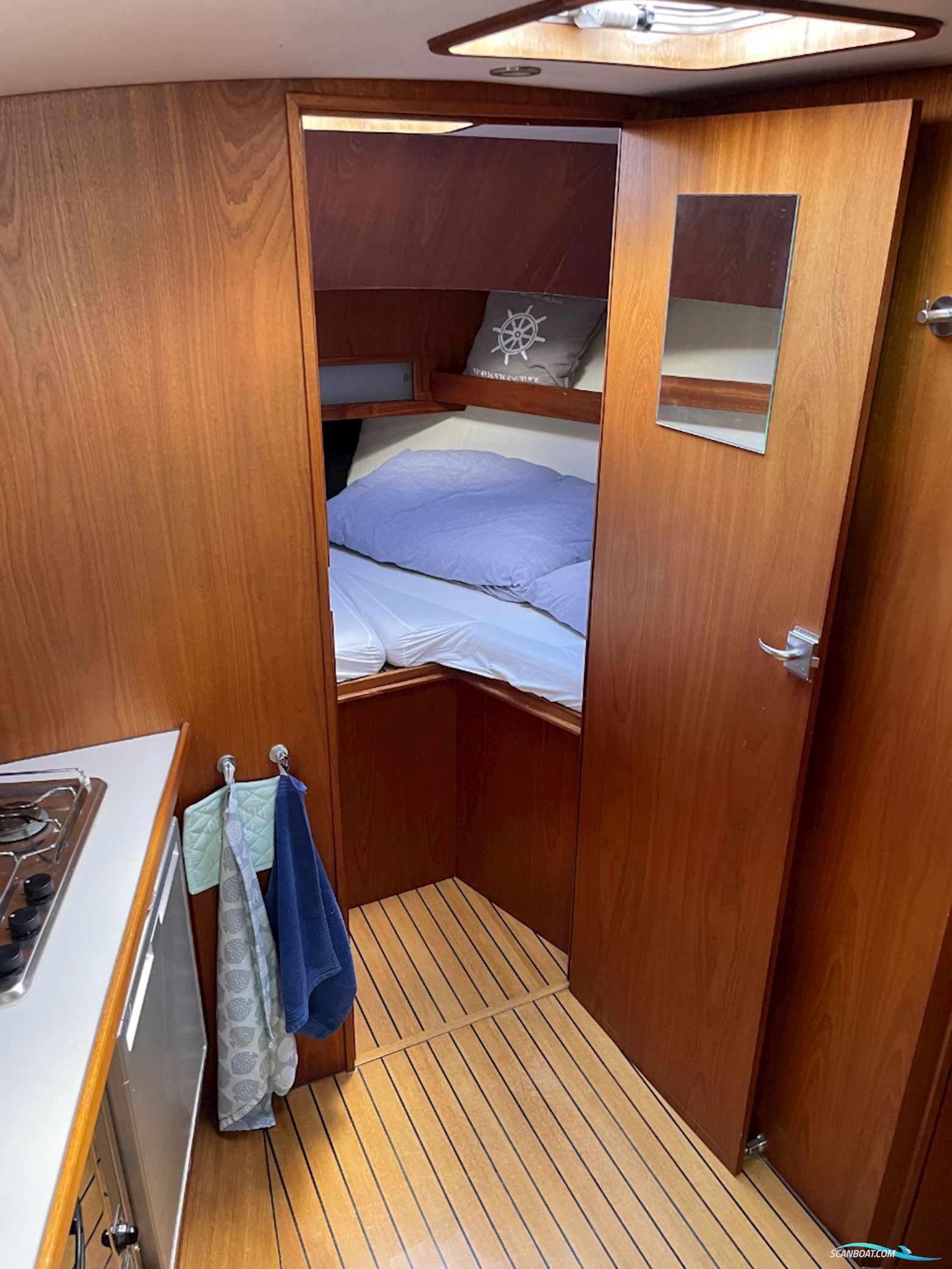 Beluga 30