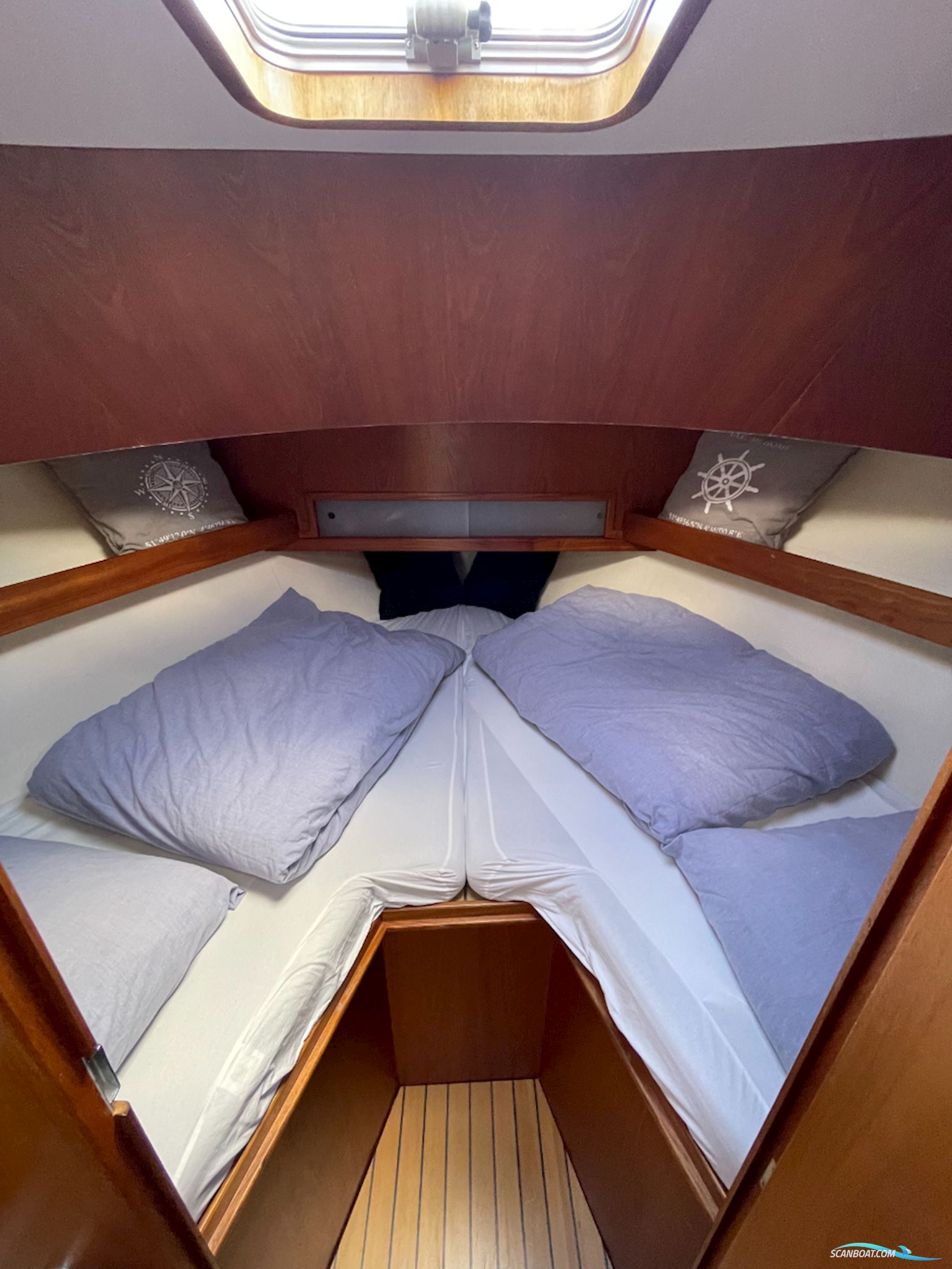 Beluga 30
