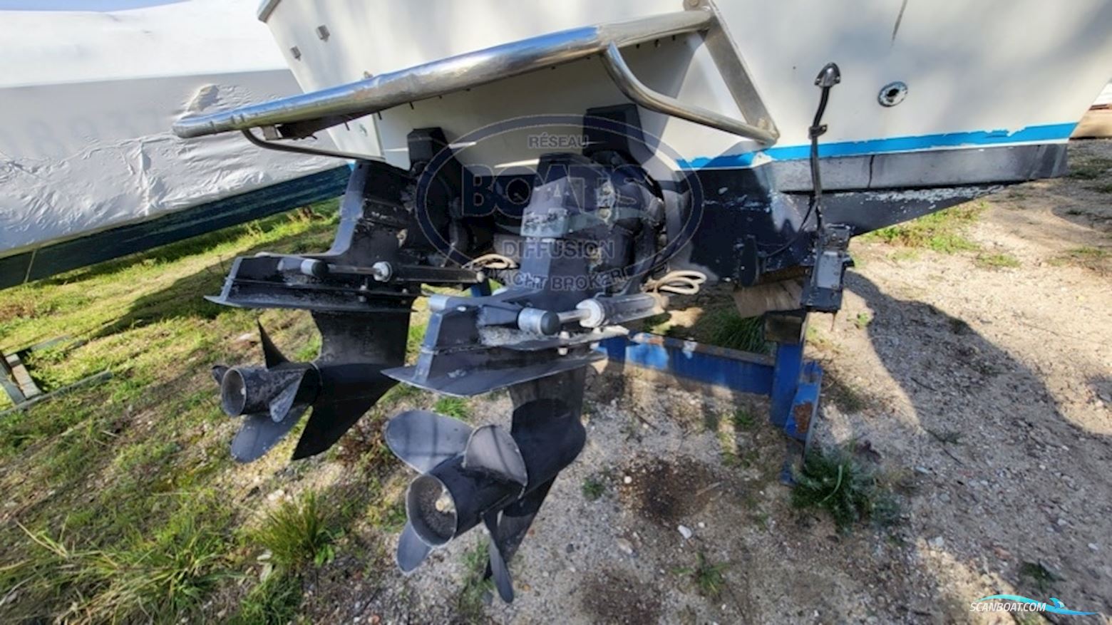 Bertram  BAHIA MAR 25