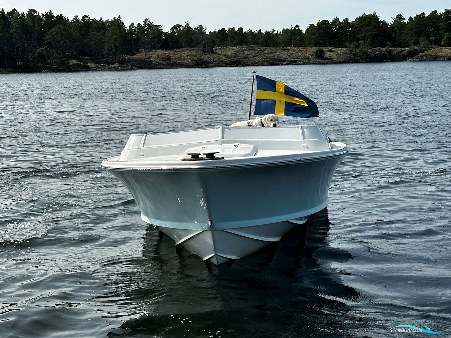 Bertram 25 Open