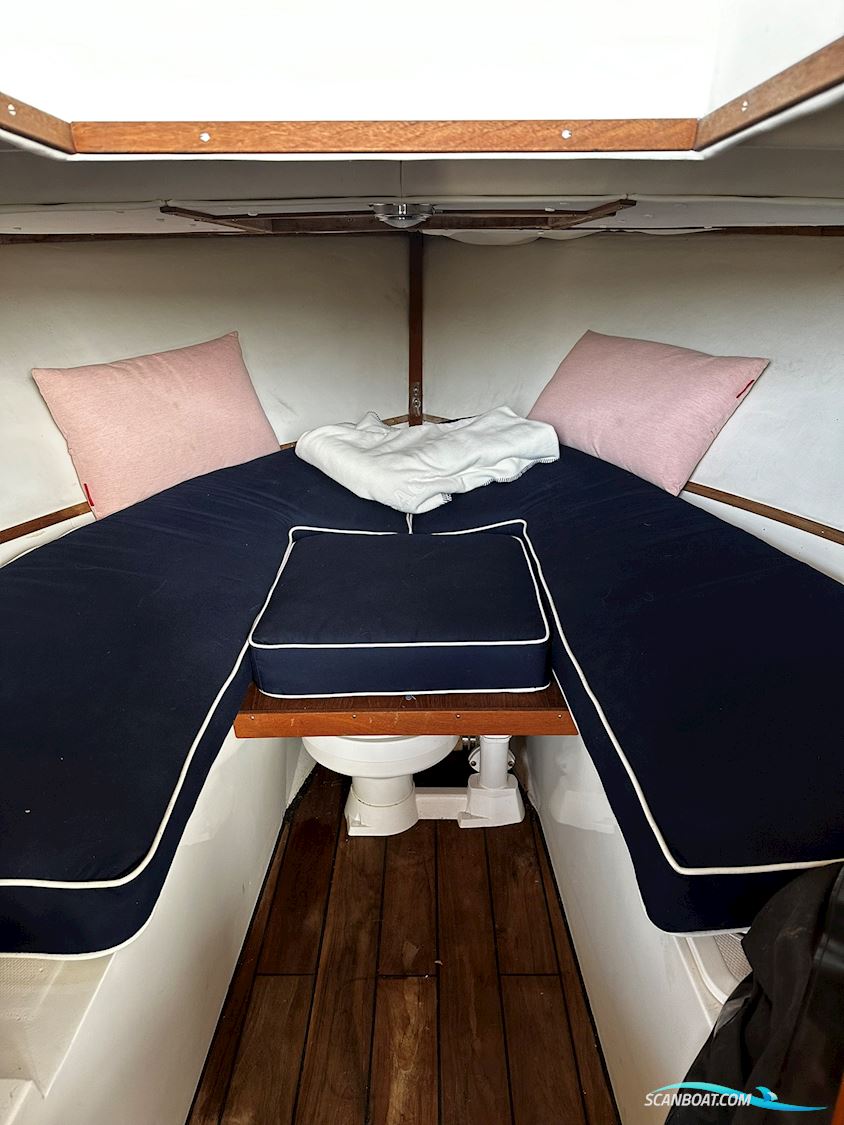 Bertram 25 Open