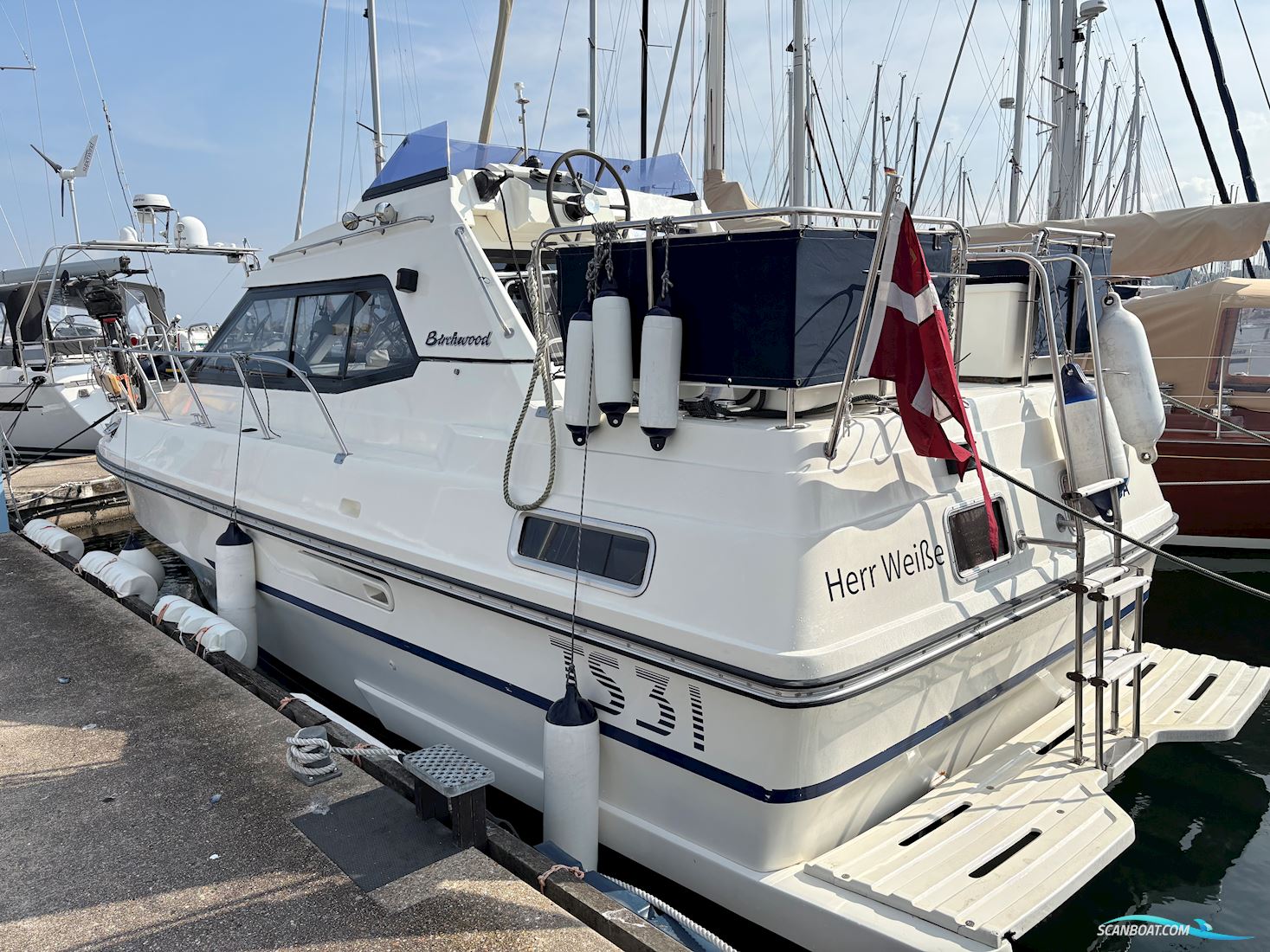 Birchwood 31TS