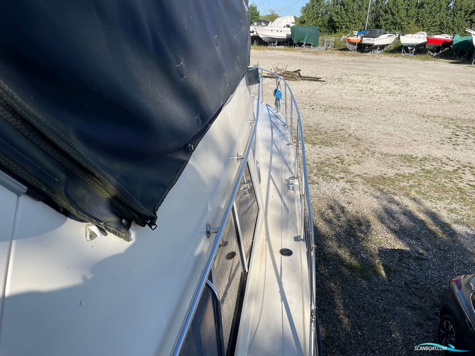 BIRCHWOOD 37 President