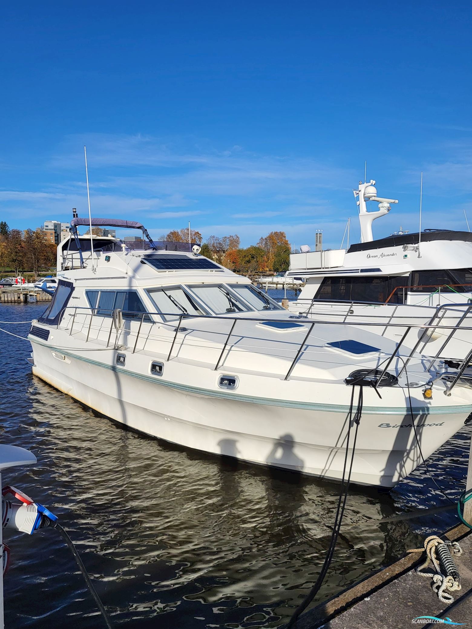 Birchwood ts 37 Höst pris innan upptagning