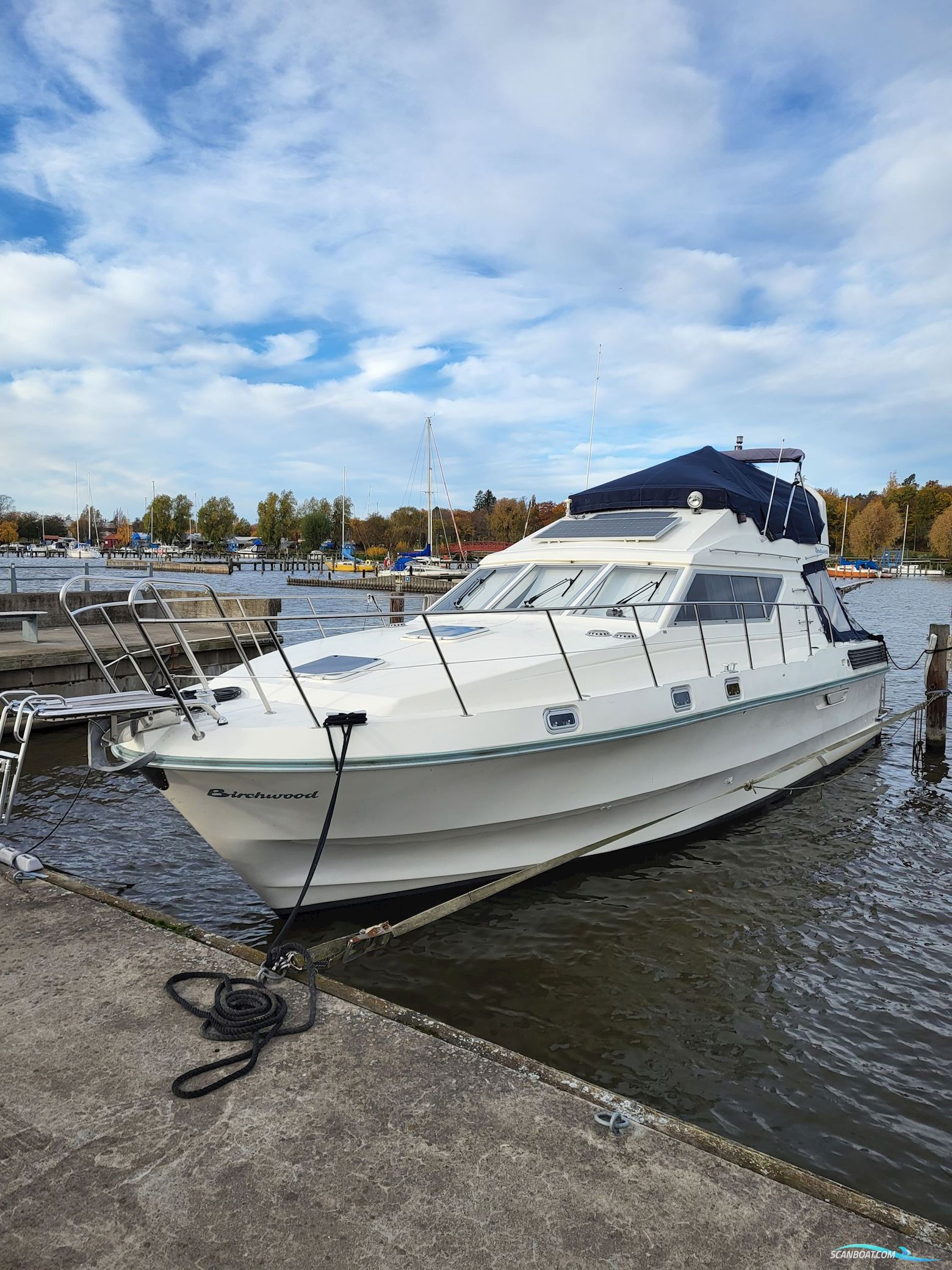 Birchwood ts 37 Höst pris innan upptagning