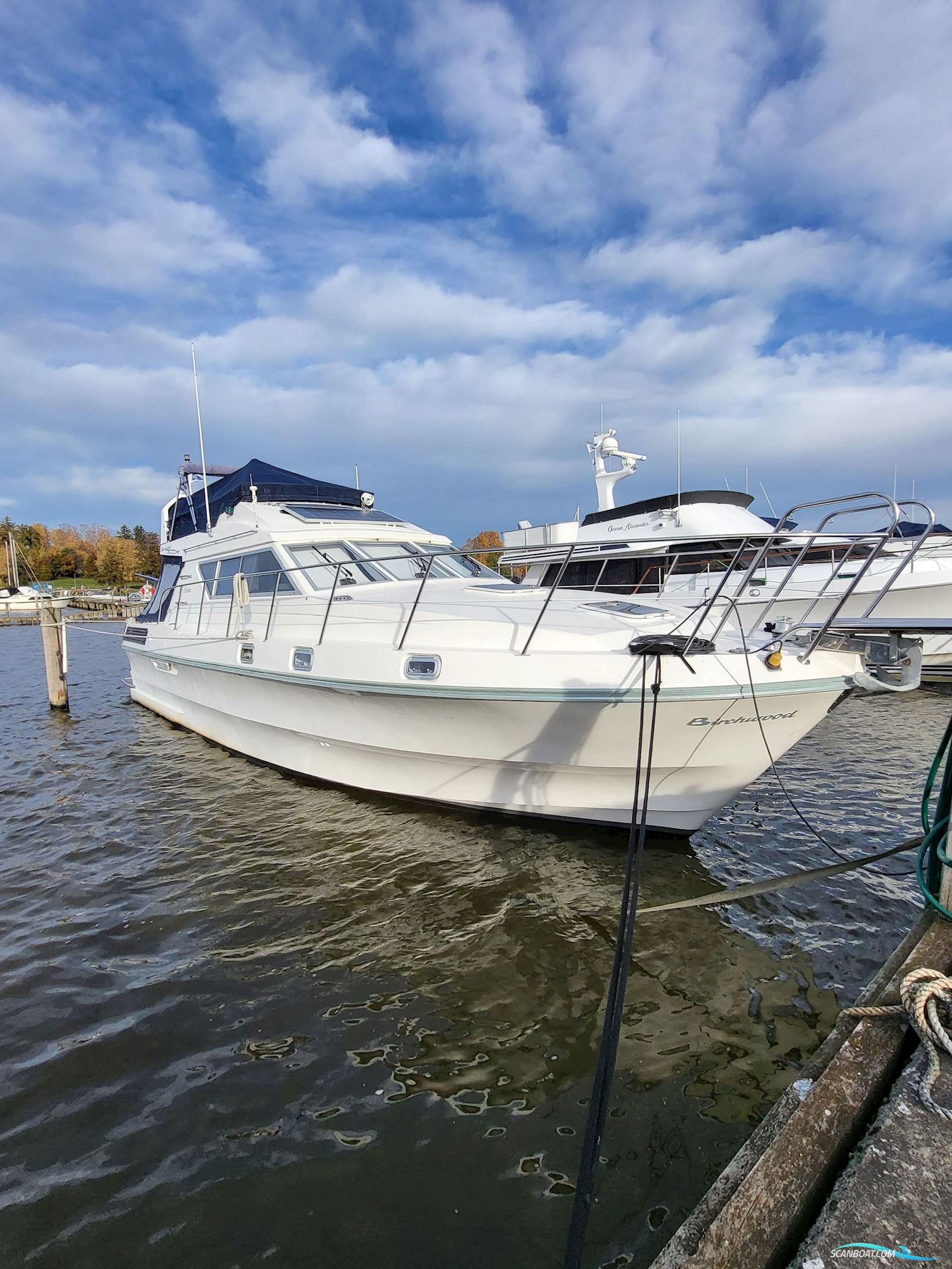 Birchwood ts 37 Höst pris innan upptagning