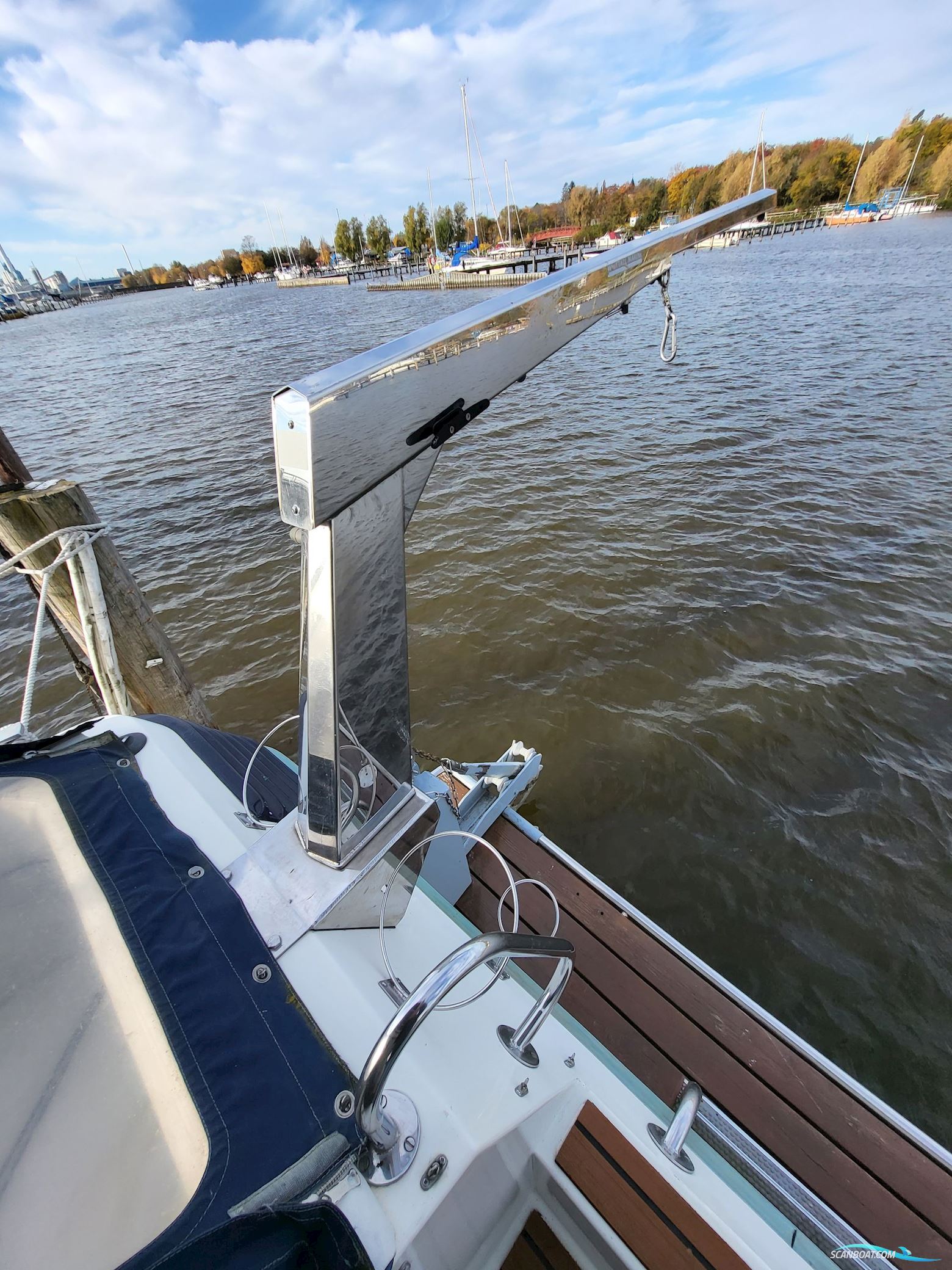 Birchwood ts 37 Höst pris innan upptagning