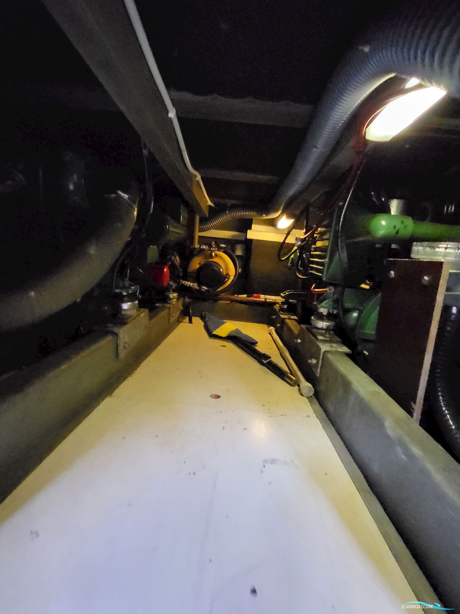 Birchwood ts 37 Höst pris innan upptagning