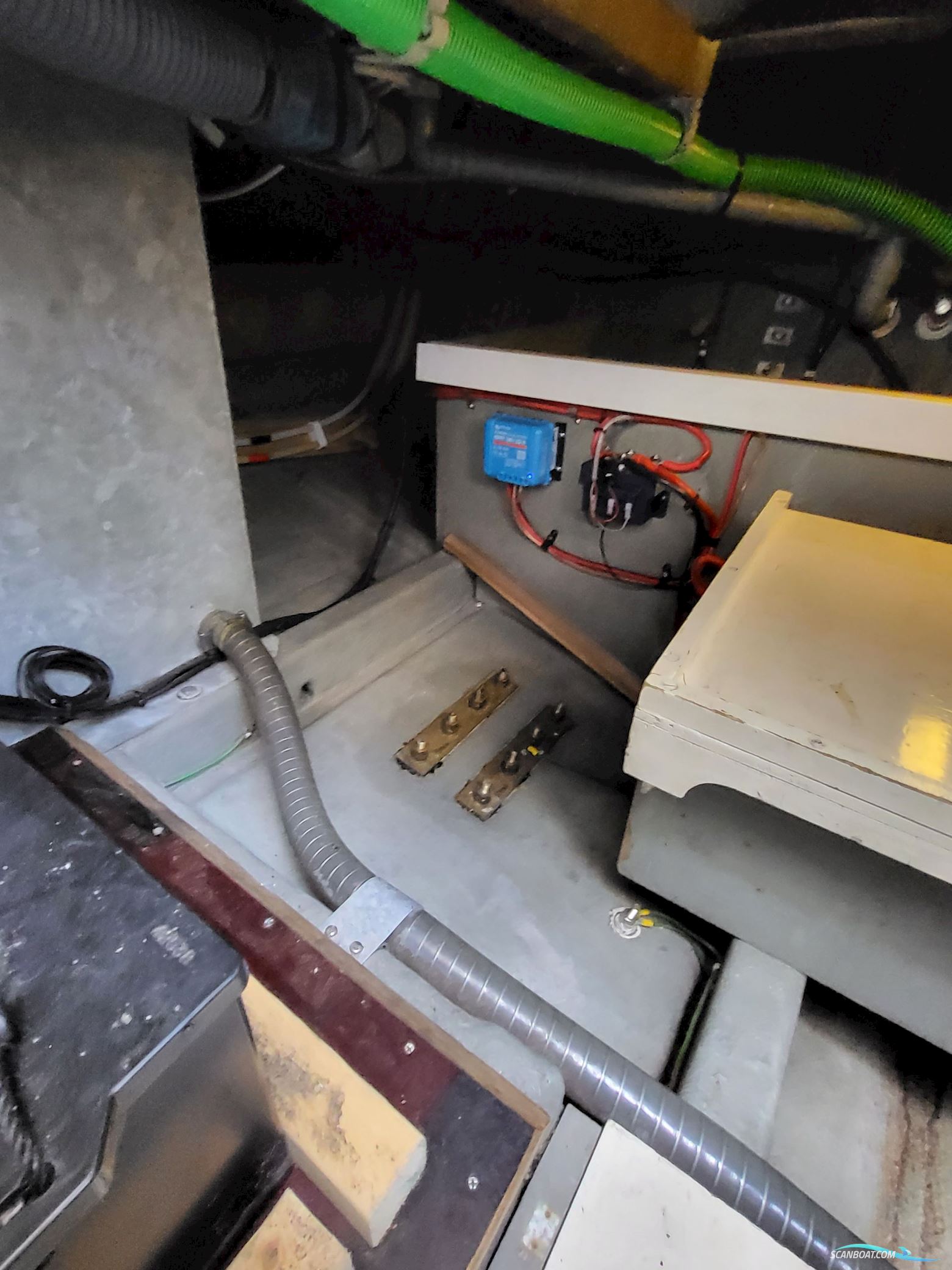 Birchwood ts 37 Höst pris innan upptagning