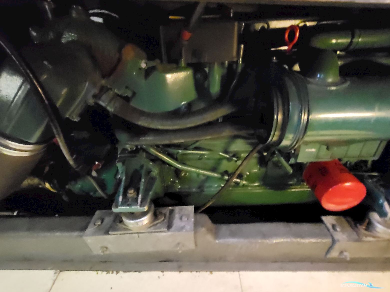 Birchwood ts 37 Höst pris innan upptagning