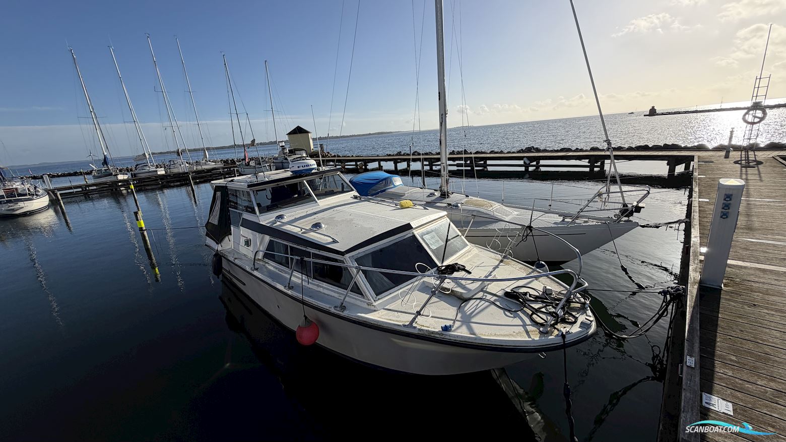Birckwood 25 HT