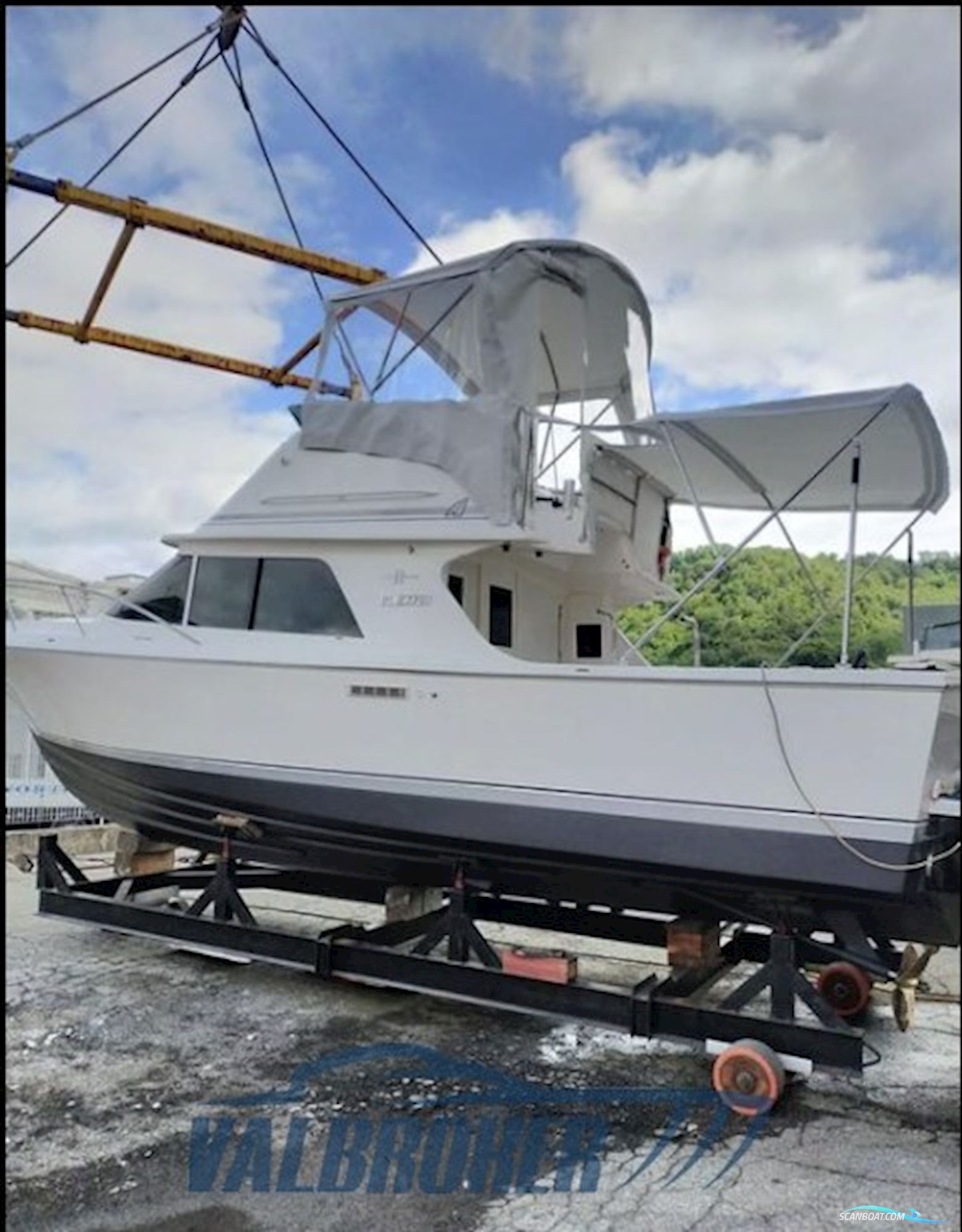 Blackfin 29