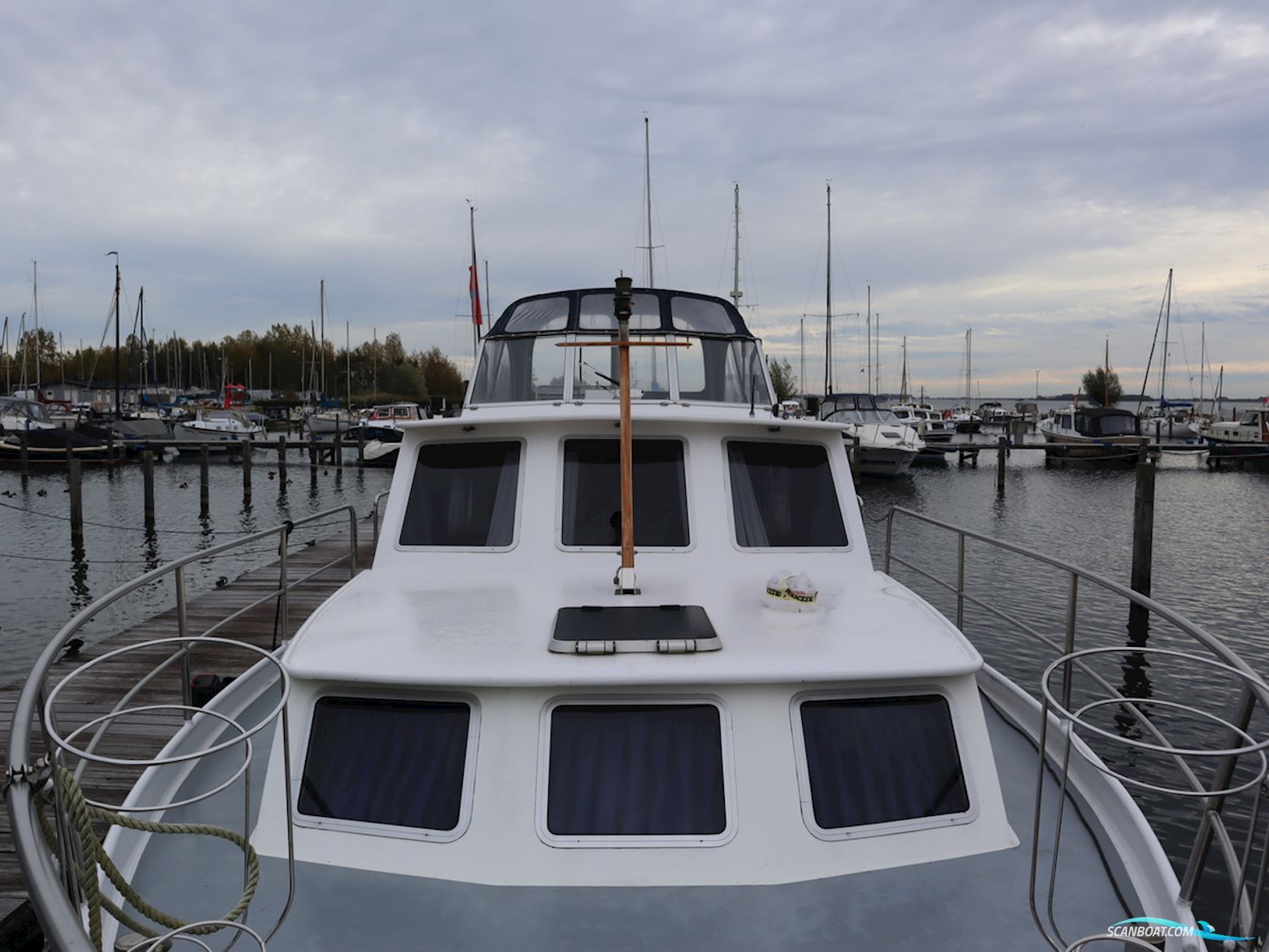 Blauwe Kruisvaarder 12.5