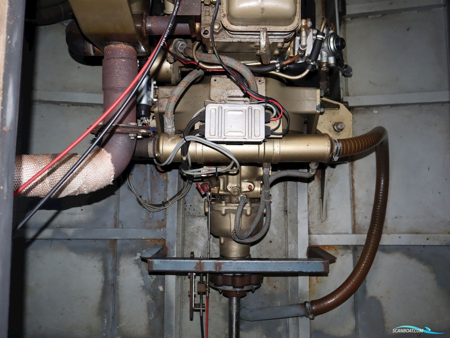 Blauwe Kruisvaarder 12.5