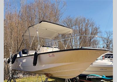 Boston Whaler 210 Montauk Motorboat 2017, with Mercury engine, Germany