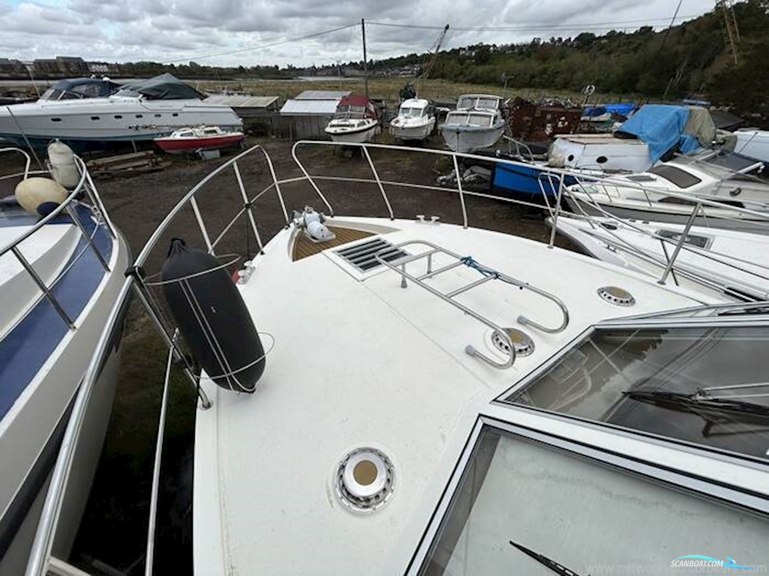 Broom Crown 37