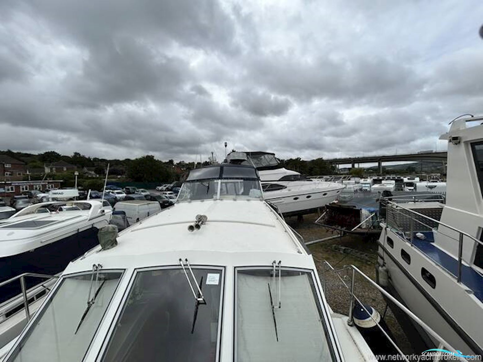 Broom Crown 37
