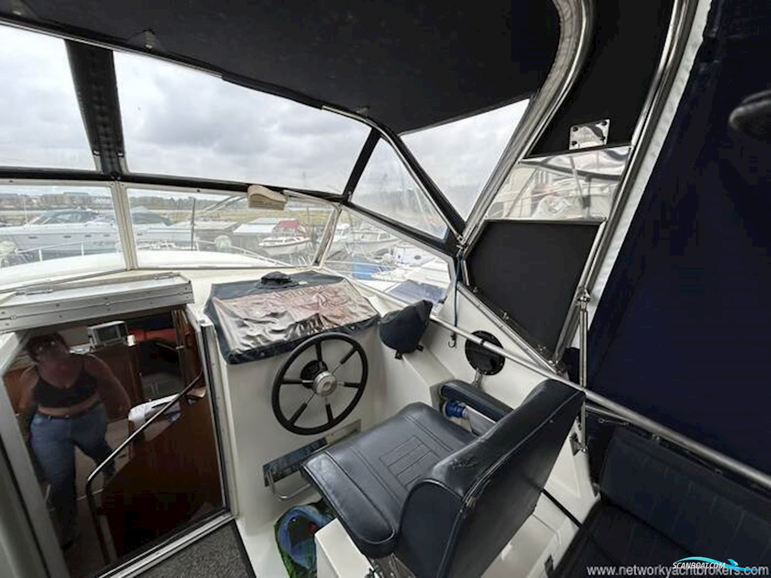 Broom Crown 37