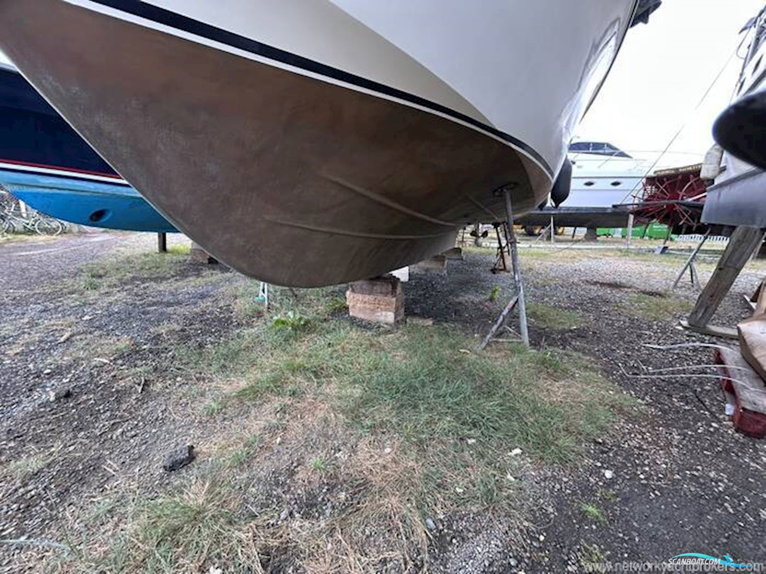 Broom Crown 37