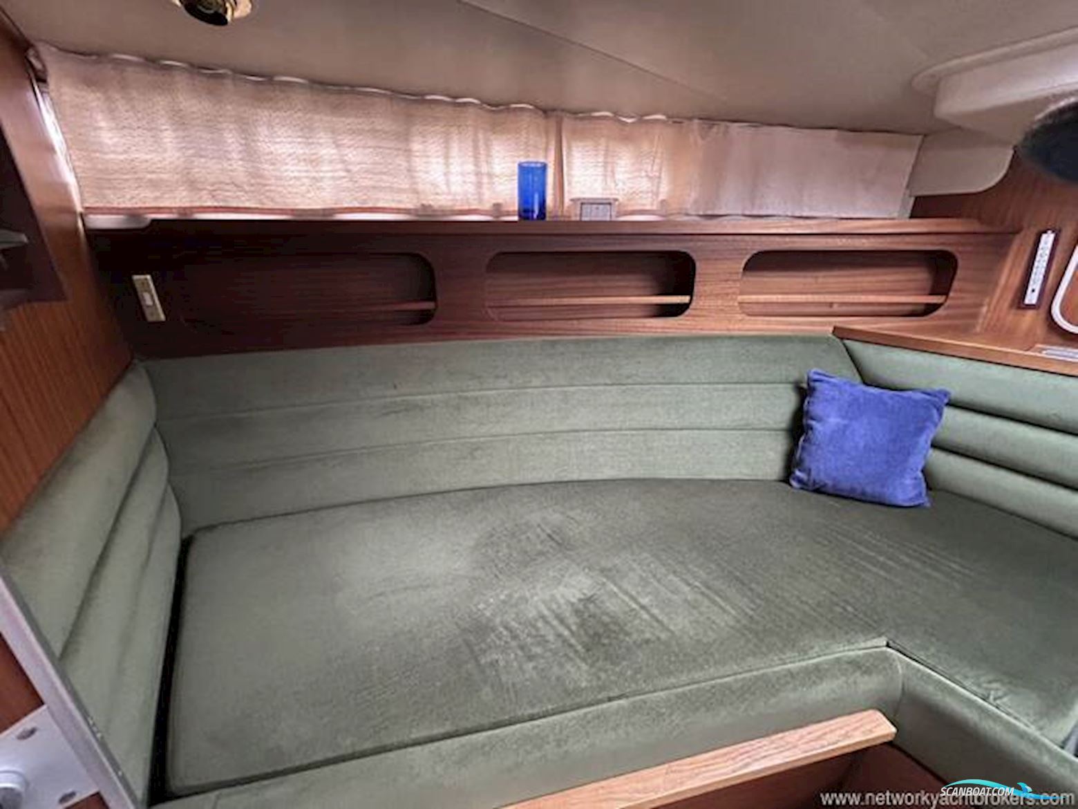Broom Crown 37