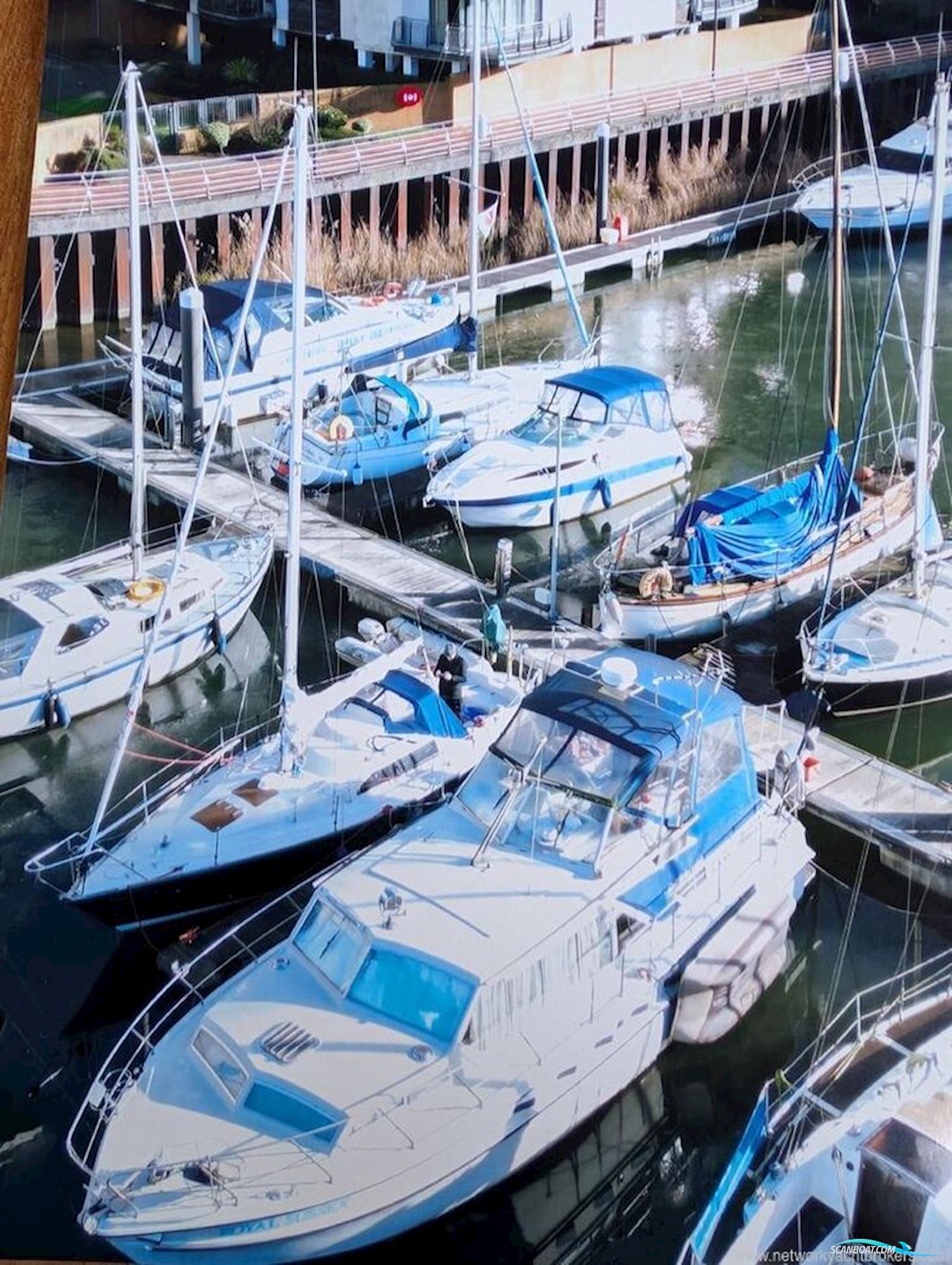 Broom Ocean 37