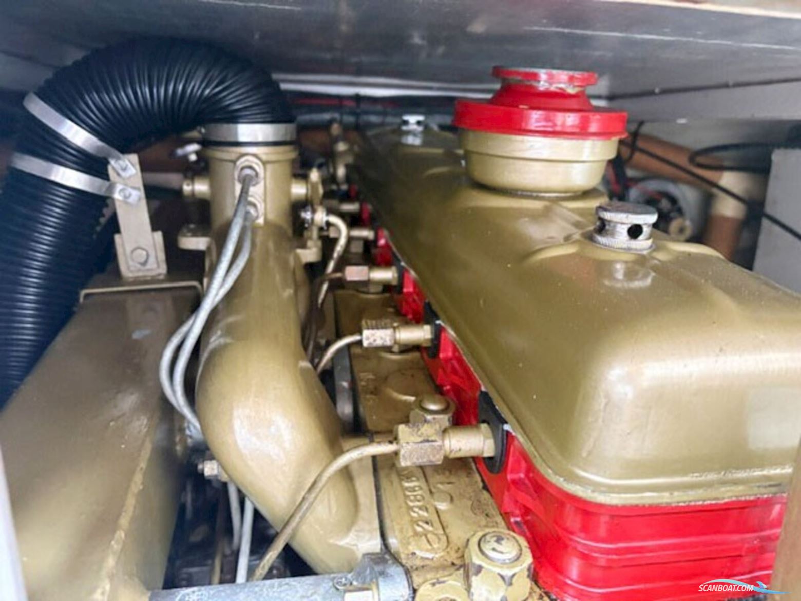 Bruijs Vlet 970