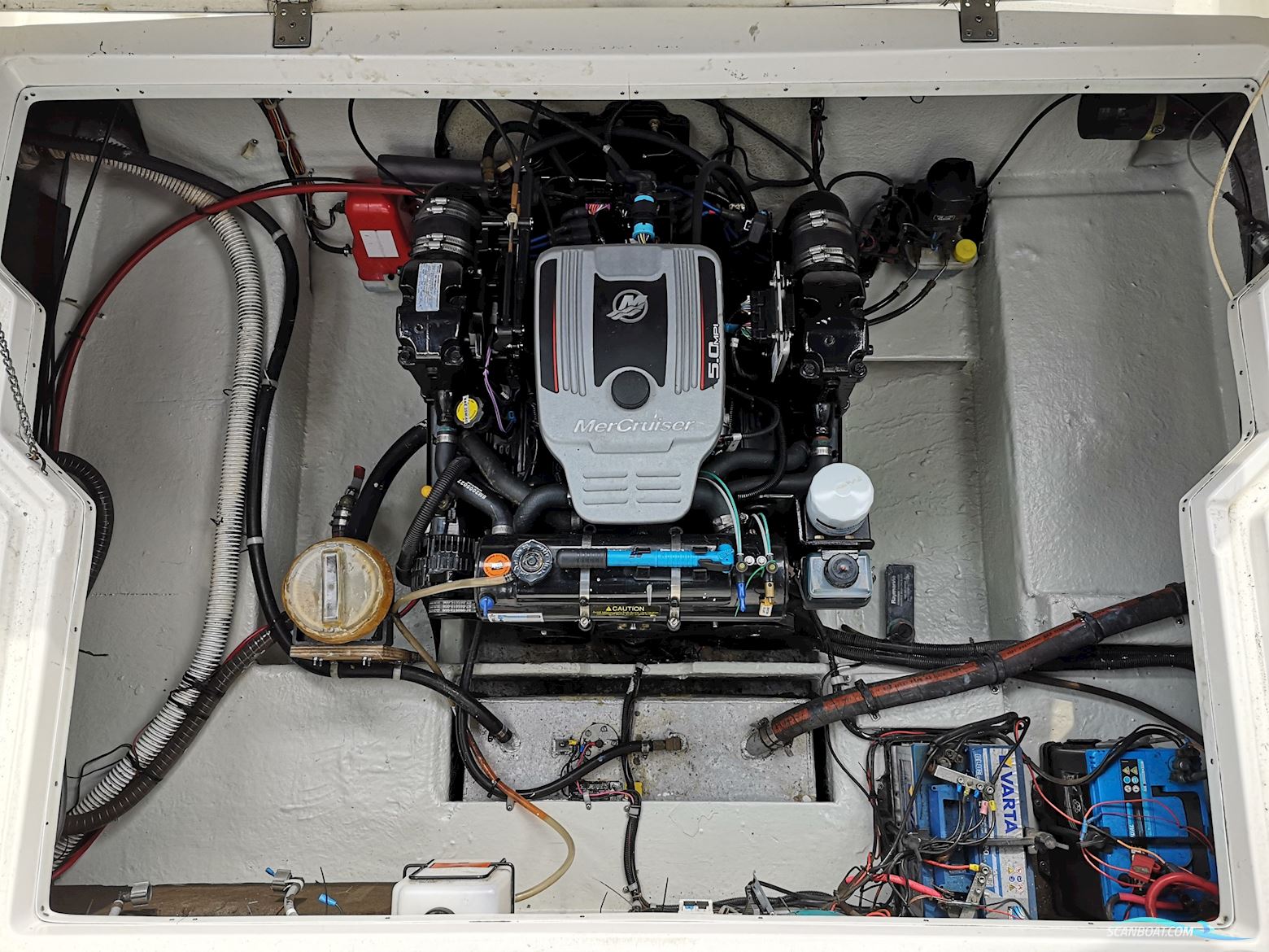 Campion 245 Victoria