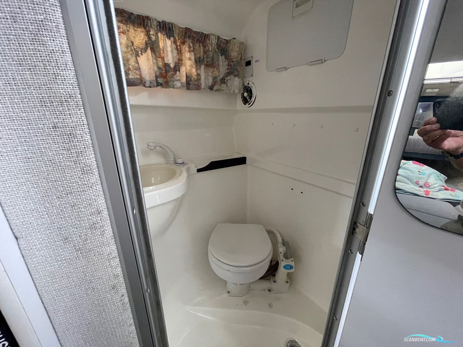 Campion 245 Victoria