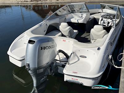 Campion 485 Allante BR M/Trailer Motorboat 2017, with Honda engine, Denmark