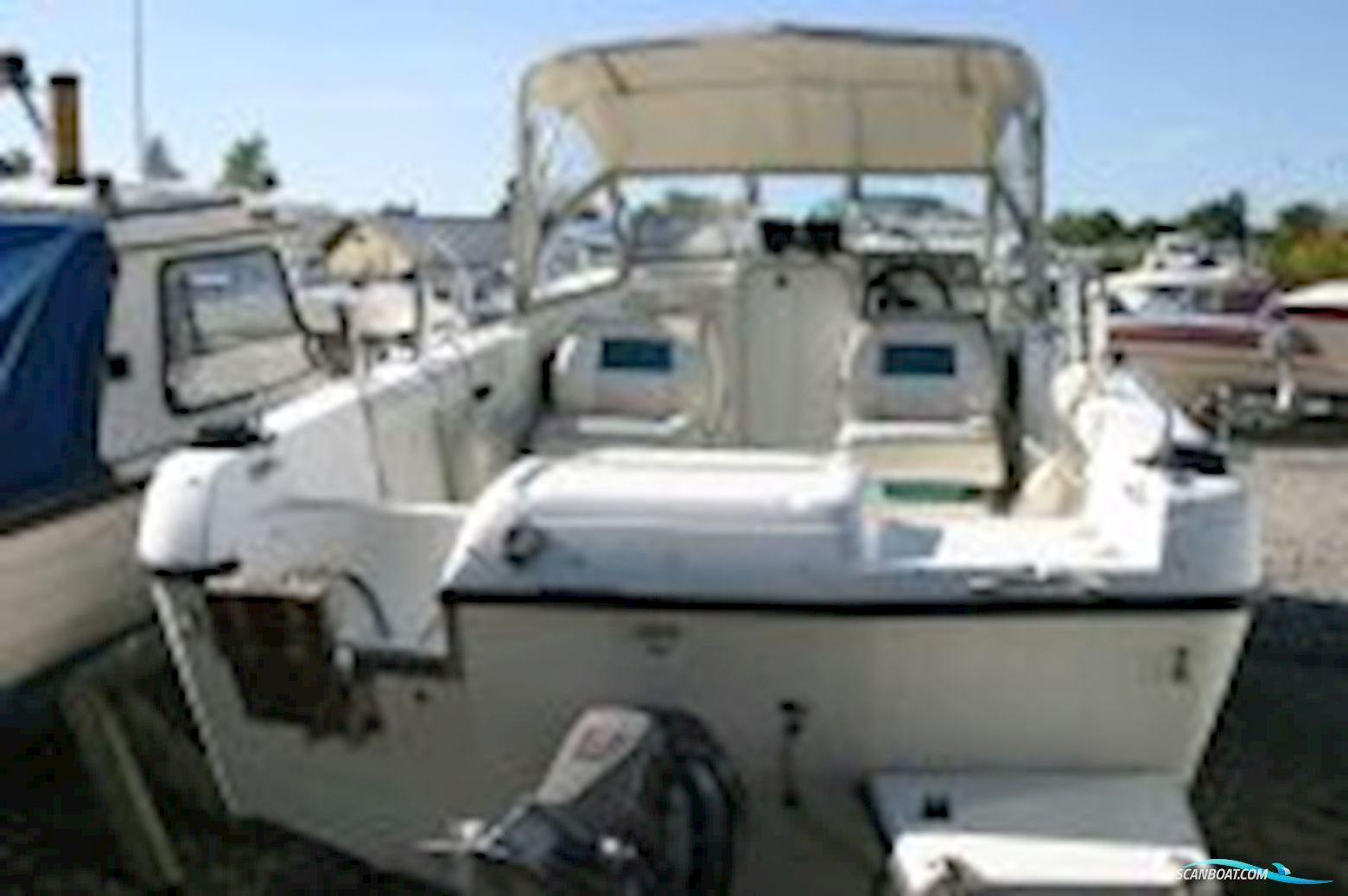 Campion 552 i SC Explorer