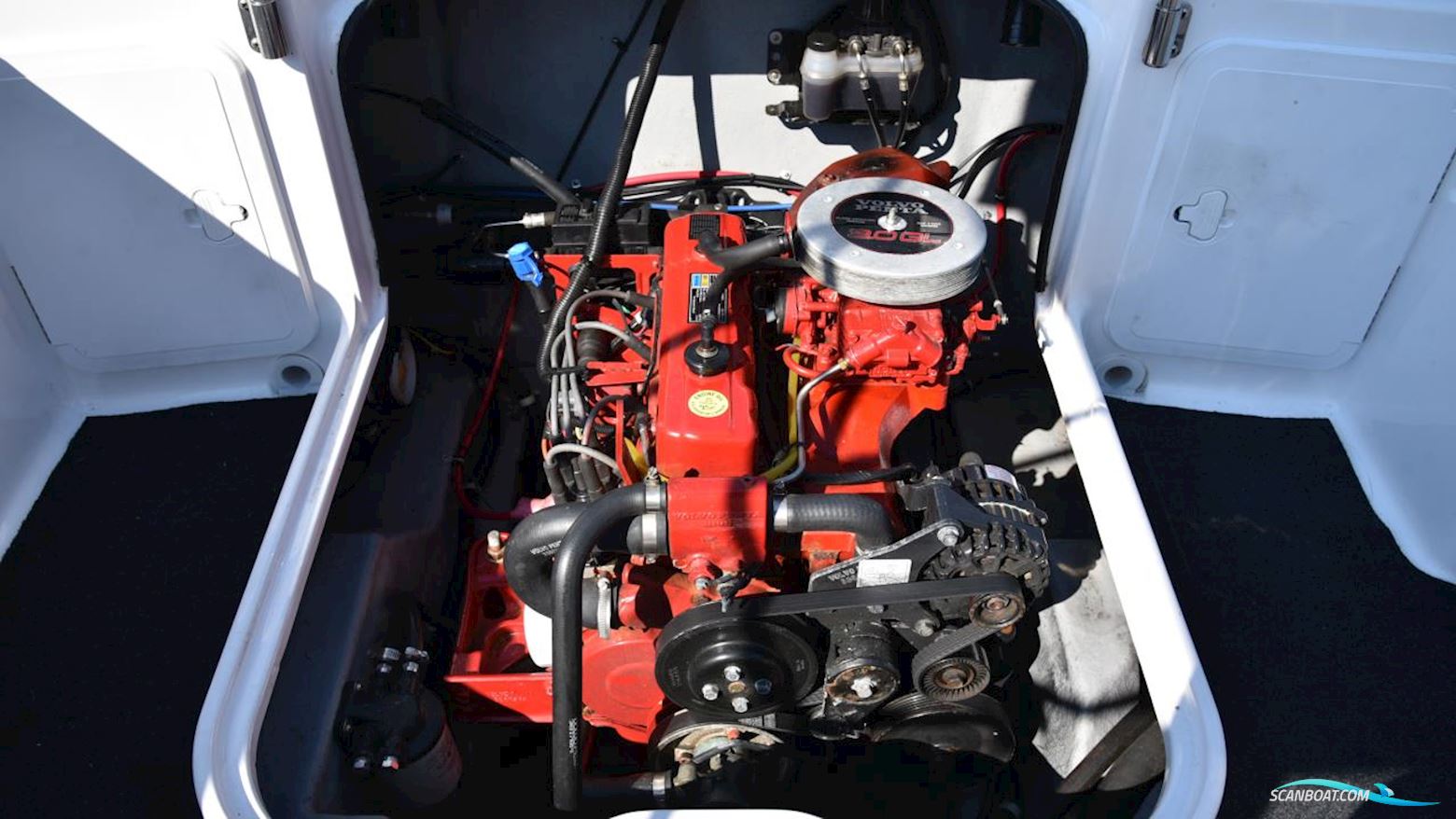 Campion 552i