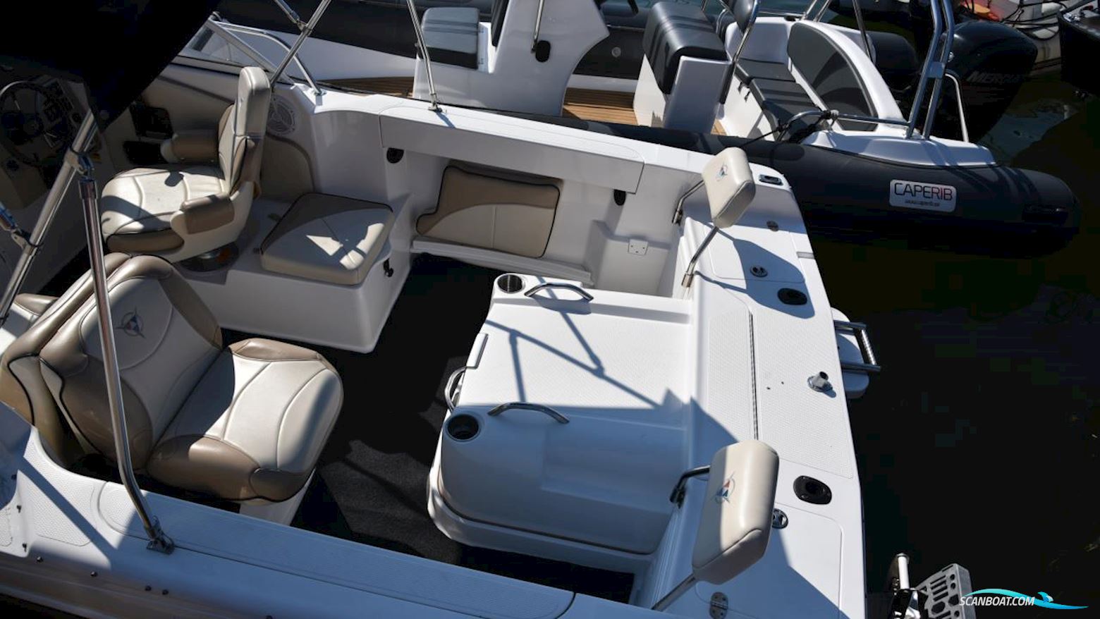 Campion 552i