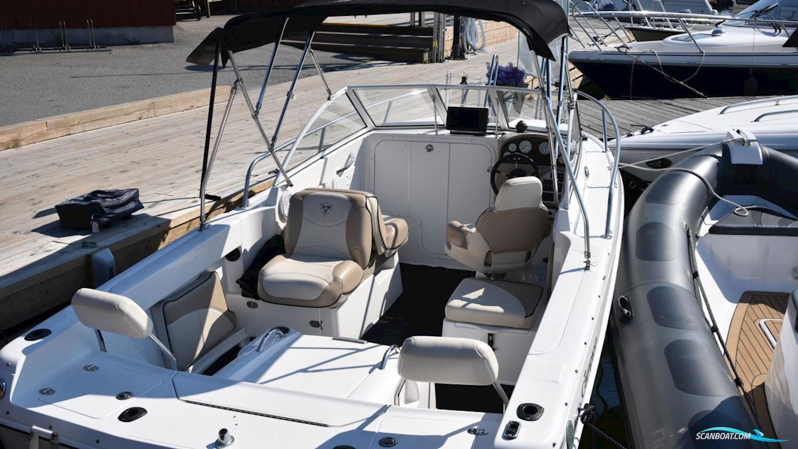 Campion 552i