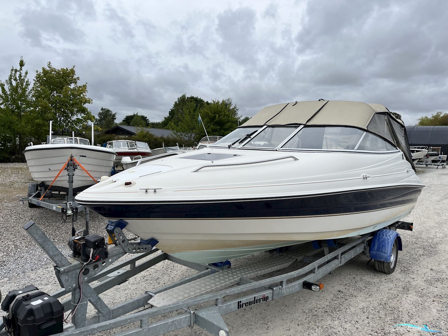 Campion 565 SC Allante