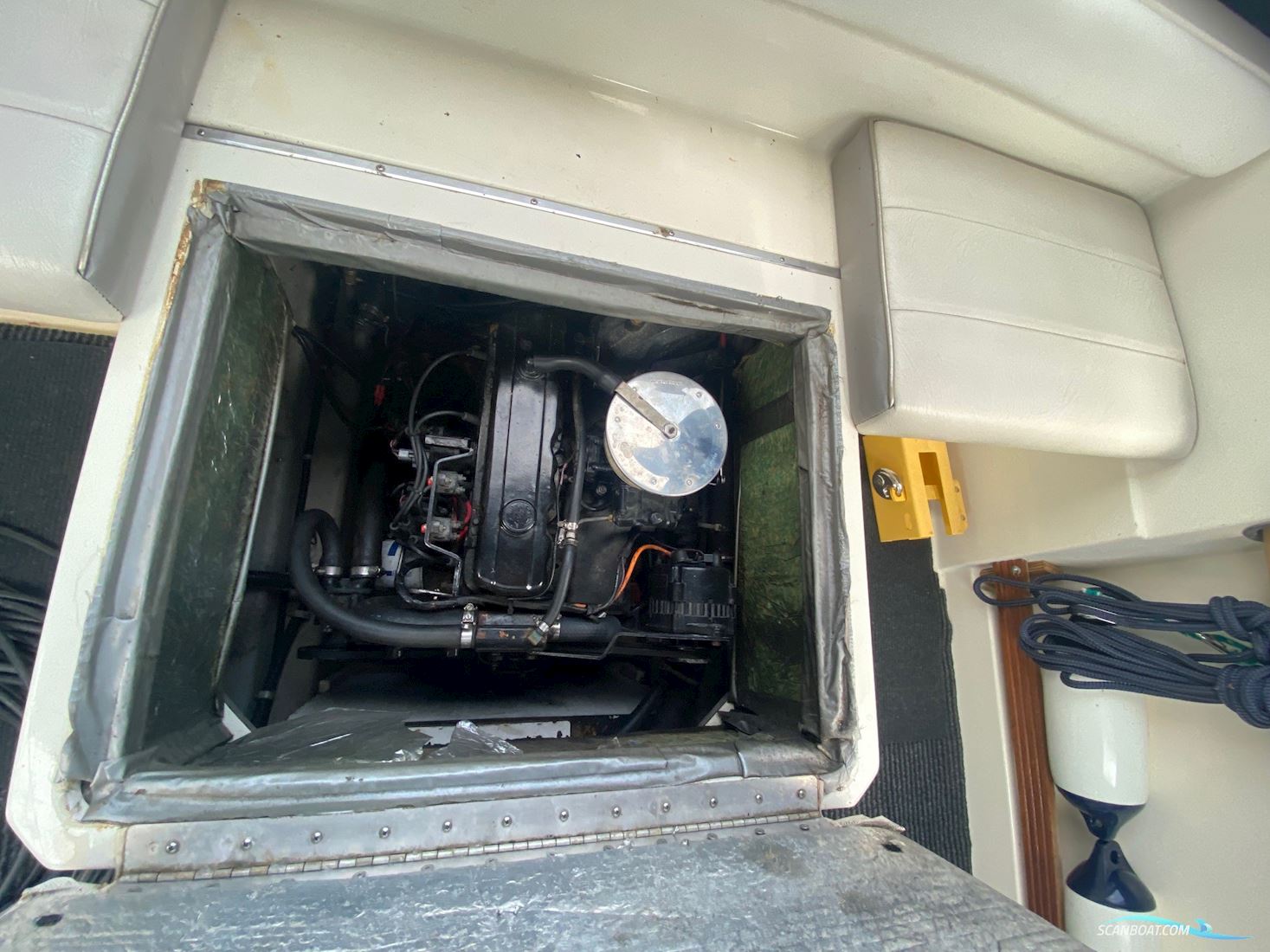 Campion 627 Victoria