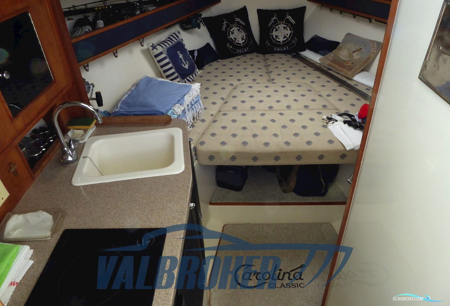 Carolina Classic CLASSIC 28