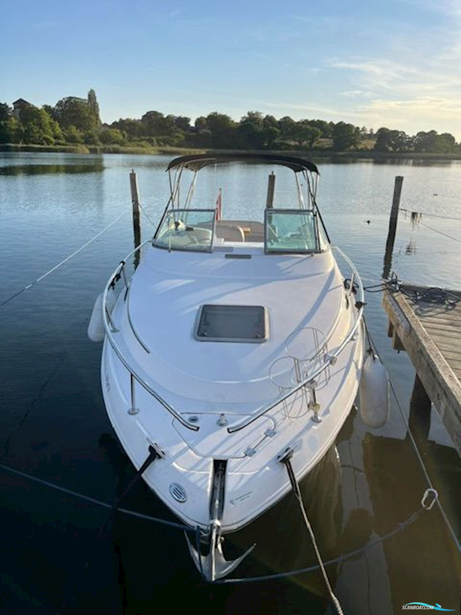 Chaparral 240 Signature