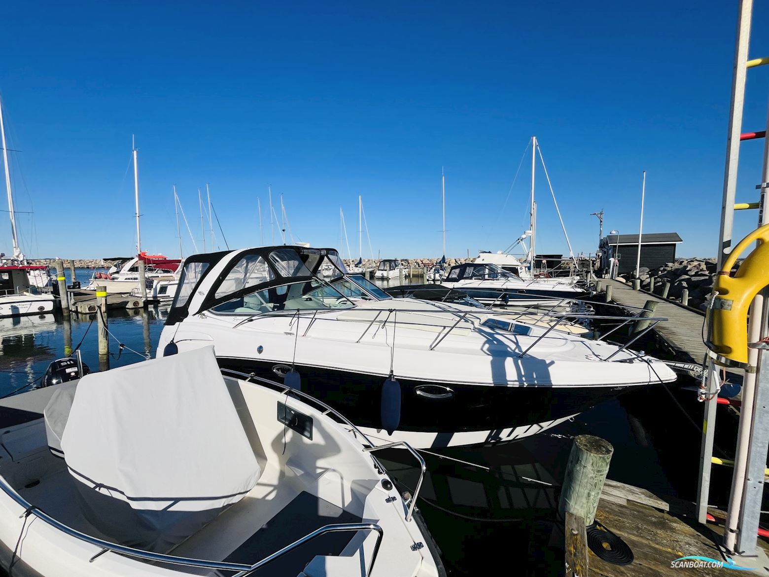 Chaparral 290 Signature