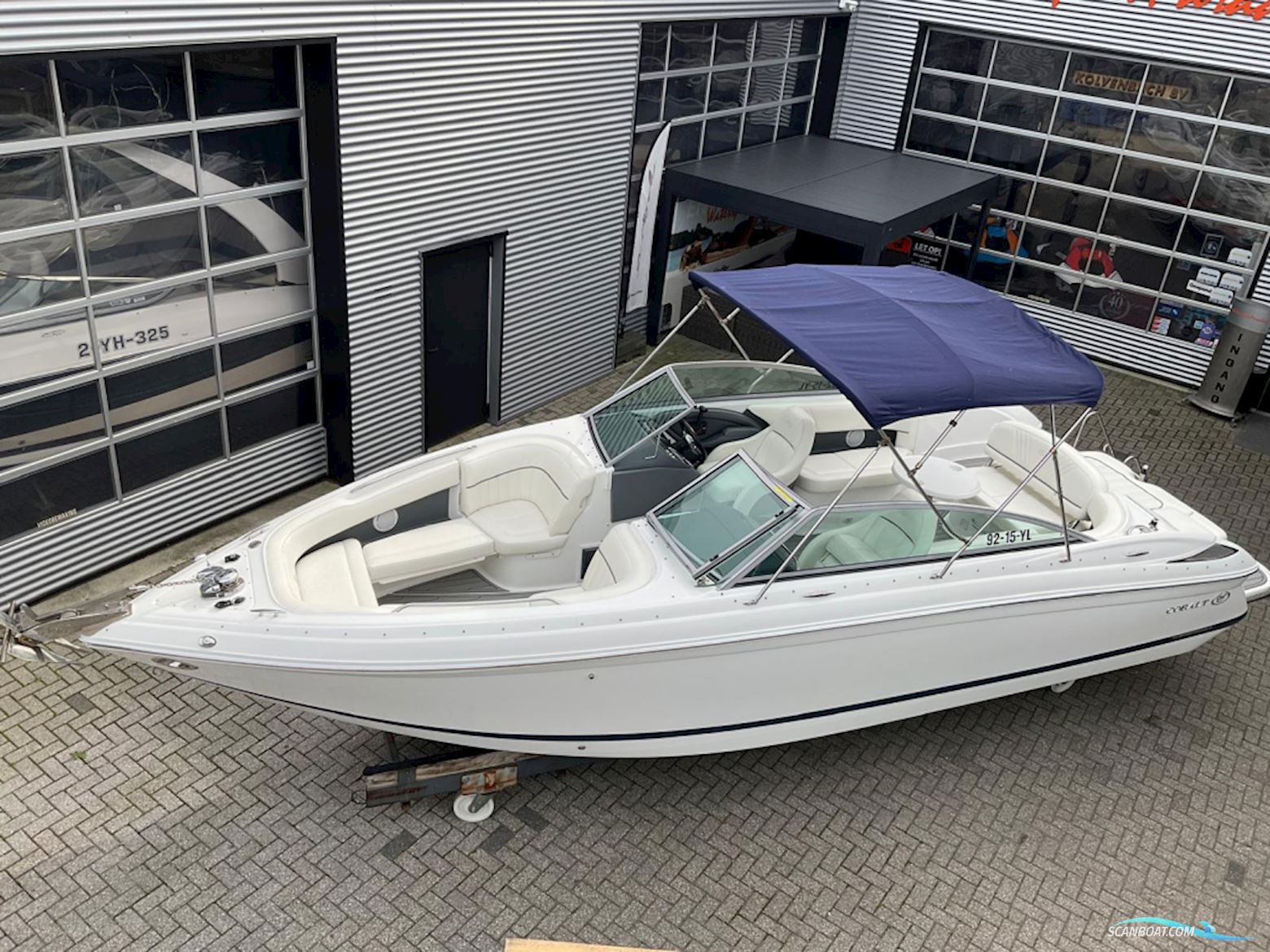 Cobalt 252
